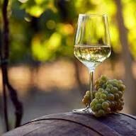 Chardonnay