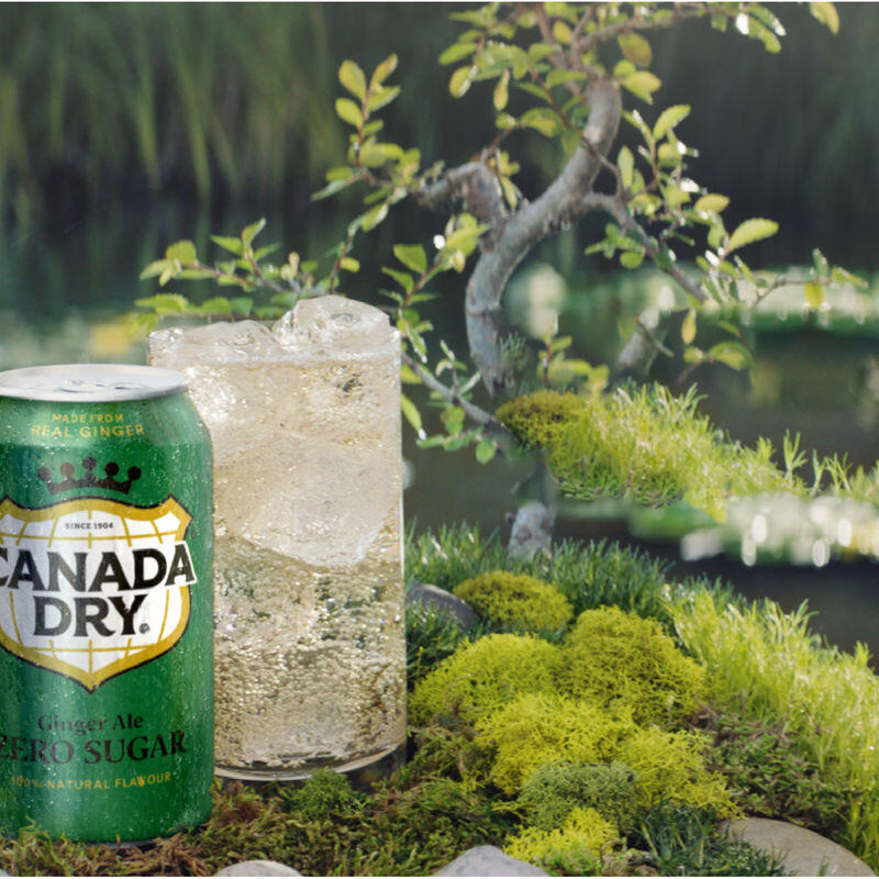 CANADA DRY